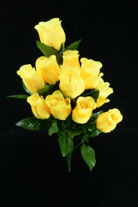 Yellow Rosebud Bush x12  (Lot of 12) SALE ITEM